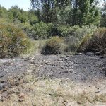 PIROMANI IN AZIONE A SAN BASILIO DI MELENDUGNO