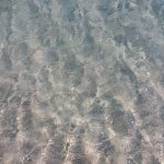 GRAZIE PER LA FOTO CARAIBICO-SALENTINA