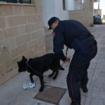 ARRESTATO PRESUNTO SPACCIATORE DI CASARANO