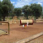 MOLOTOV DENTRO LA DITTA MELLO. LA TAP ACCUSA DI ‘bestialità” IL MOVIMENTO NO TAP. LA CONFINDUSTRIA CHIEDE ALLE FORZE DELL’ ORDINE DI INTERVENIRE A CHE SI SPENGA LA PROTESTA “per il bene delle imprese e per un sereno sviluppo del territorio”. L’ ASSESSORE ANDREA GUIDO DEFINISCE LA PROTESTA “strumentale e paradossale”