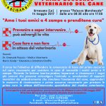 UN CORSO DI PRIMO SOCCORSO PER IL CANE