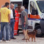 INDIZI DI FELICITA’, SE UN CANE MORDE IL POLPACCIO DI WALTER VELTRONI. IRONIA, ANZI, E’ PROPRIO IL CASO DI DIRLO, SARCASMO, SUI SOCIAL NETWORK: “..Ma gliel’ hanno fatta l’ antitetanica, al povero cane?”