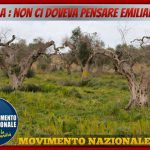 MAGLIE: IL CALDO NON FERMA LA PROTESTA DEGLI OLIVICOLTORI