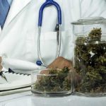 ‘UNA BEFFA PER CHI SI CURA CON LA CANNABIS’