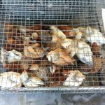 CAMBIA IL SINDACO, MA NON LE MORTIFICANTI CONDIZIONI DEGLI ANIMALI ALLA FIERA DI FRIGOLE. SULLA MANIFESTAZIONE “di un atavico medioevo” GIUSEPPE ALBANESE DI ‘ANDARE OLTRE’ AVEVA CHIESTO UN MESE FA AL ‘SUO’ CARLO SALVEMINI DI VIETARLA. INVANO