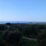 NOEMI / GLI SVILUPPI DELLE INDAGINI