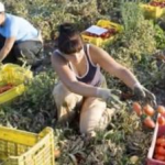 INDAGINI SULLA MORTE DI UNA BRACCIANTE AGRICOLA