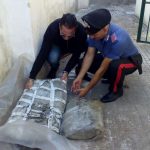 ULTIMISSIME DI NERA