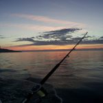 I ‘PESCASPORTIVI’ DEL SALENTO AL PRIMO TROFEO DI TRAINA D’ ALTURA A SANTA MARIA DI LEUCA SABATO 28