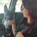 LUPO, IL RANDAGIO ‘REIMMESSO’, TROVA CASA