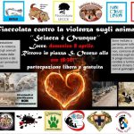 “SCIACCA È OVUNQUE”. DOMANI IN PIAZZA SANT’ORONZO IL CORTEO PACIFICO CONTRO LA VIOLENZA SUGLI ANIMALI