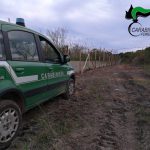 QUATTRO DENUNCE PER REATI AMBIENTALI
