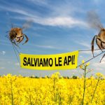 PRESSIONI SUL GOVERNO – GIA’, QUALE? – AFFINCHE’ SIA RITIRATO IL DECRETO MARTINA SULL’ ERADICAZIONE DEGLI ULIVI E L’ USO DEI PESTICIDI. MINACCIATE IN PARTICOLAR MODO LE API, A RISCHIO DI DISTRUZIONE NEL SALENTO