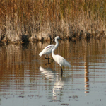 ‘PARCHI DEL SALENTO IN TOUR’