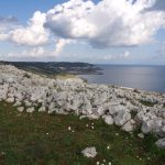 LA BIODIVERSITA’ NEL PARCO DI LEUCA DOMENICA 20