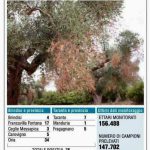 XYLELLA / UN VERO E PROPRIO ATTACCO POLITICO E MEDIATICO. ECCO LE RISPOSTE, PUNTO PER PUNTO