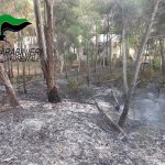 INCENDIO COLPOSO NEL BOSCO DI GALLIPOLI