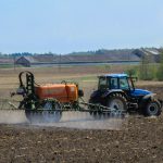XYLELLA/ OLIVI, SPUTACCHINA E OLIO D’ARANCIO DOLCE: AUTORIZZAZIONI E DEROGHE. PUÒ ESSERE UTILIZZATO O NO?