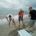 AD AGOSTO PICCOLE TARTARUGHINE A TORRE CHIANCA