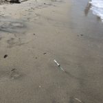 PERICOLO SIRINGHE ABBANDONATE SULLE NOSTRE SPIAGGE