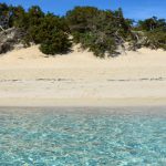 MAGGIOR RISPETTO PER LE DUNE DI PORTO CESAREO