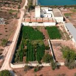 MASSERIA CON ‘ERBA’ RECORD