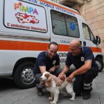 ‘SOCCORSO ANIMALI: LECCE INDIETRO ANNI LUCE’