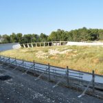 IL DEGRADO DEL VELODROMO DEGLI ULIVI