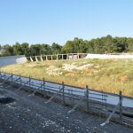 IL DEGRADO DEL VELODROMO DEGLI ULIVI