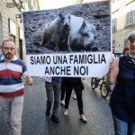 “Non è uno sport, ma una guerra”. SI’, E’ UNA INUTILE CRUDELTA’, UN CRIMINE CONTRO NOSTRA MADRE NATURA. L’ ENTE NAZIONALE PROTEZIONE ANIMALI CHIAMA ALLA MOBILITAZIONE, E IERI LA LEGA ANTI VIVISEZIONE E’ SCESA IN PIAZZA A FIRENZE CONTRO LA CACCIA E I CACCIATORI