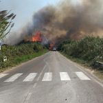 UNANIME REAZIONE DI SDEGNO PER ‘LE CESINE’