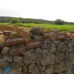 A CASTIGLIONE SEMINA COLLETTIVA DEI CEREALI ANTICHI