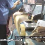 ‘PULP FASHION’ PURE A LECCE?