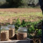 LA RASSEGNA DELLE FILIERE AGRICOLE DI CEREALI