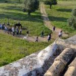 DATI INQUIETANTI SULL’INQUINAMENTO DEL MOSTRO