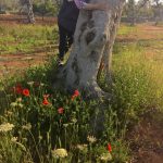 leccecronaca.it ADERISCE ALL’APPELLO DI VANDANA SHIVA. 6