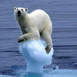 ALLARME ONU, BIODIVERSITA’ A RISCHIO ESTINZIONE