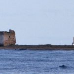 MUORE DURANTE UN’IMMERSIONE A TORRE VENERI