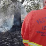 DI NUOVO IN AZIONE I CRIMINALI DEGLI INCENDI