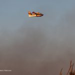 CONTINUA LA DEVASTAZIONE DEL NOSTRO TERRITORIO