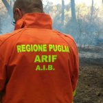 ‘UNA SOLUZIONE SUBITO PER I LAVORATORI ARIF’