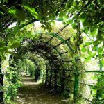 LA RACCOLTA DI POESIE “Stretture d’ombra”