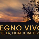 IL DOCU FILM “Legno Vivo – Xylella, oltre il batterio”