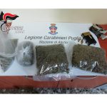 TRE DISTINTE OPERAZIONI ANTIDROGA DEI CARABINIERI