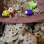 L’ “Agri-Carnevale Inclusivo” A CASTIGLIONE D’OTRANTO