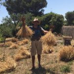 “Biodiversità maestra di agricoltura”