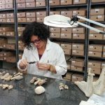 GLI STUDI DI ARCHEOLOGIA ANIMALE IN SUD AFRICA, NELLA CONFERENZA DI CLAUDIA ABATINO  A LECCE MARTEDI’ 25