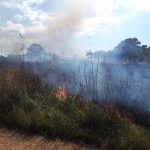 FERMARE IL DEGRADO DEL PARCO DI UGENTO