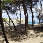 STORIA DELLE PINETE DEL SALENTO / TORRE DELL’ORSO