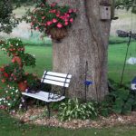 LECCECRONACHE / L’ALBERO, IL LIBRO E LA ‘PARMIGGIANA’